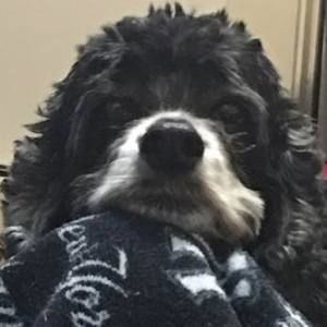 Meet your Posher, Mandi